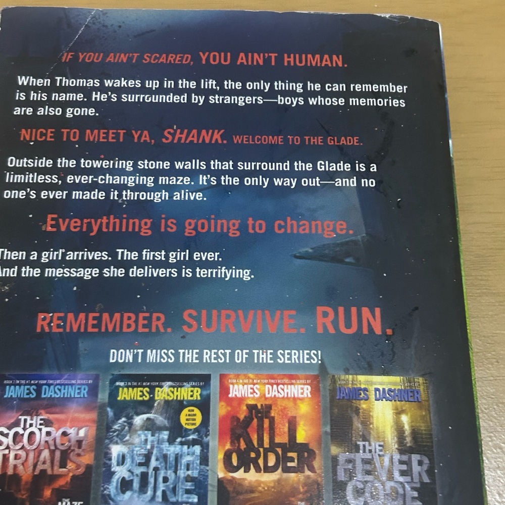 The Maze Runner 🏃 - Picture 4 of 4